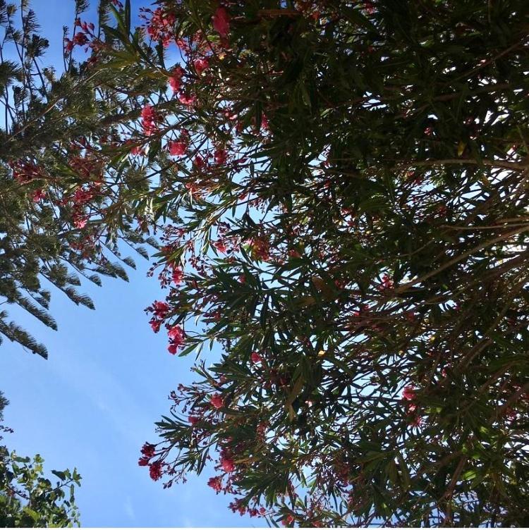 דירות פאביננה Giardino Dell'Impossibile Di Antonino Campo מראה חיצוני תמונה